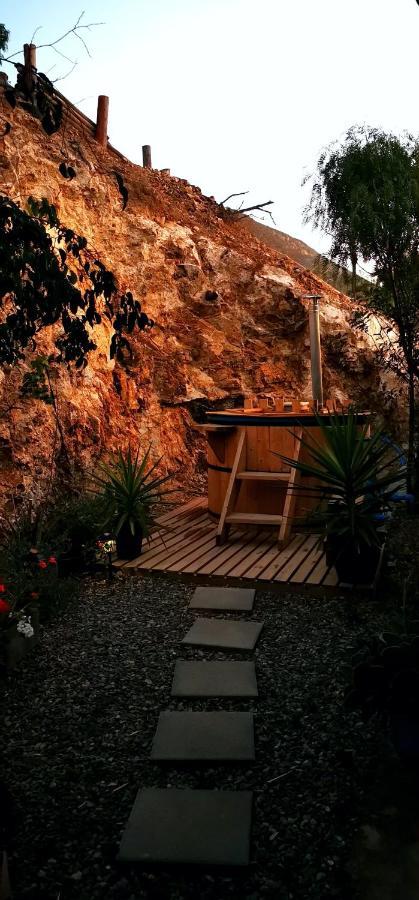 فندق Casa Ollagua Vicuña المظهر الخارجي الصورة