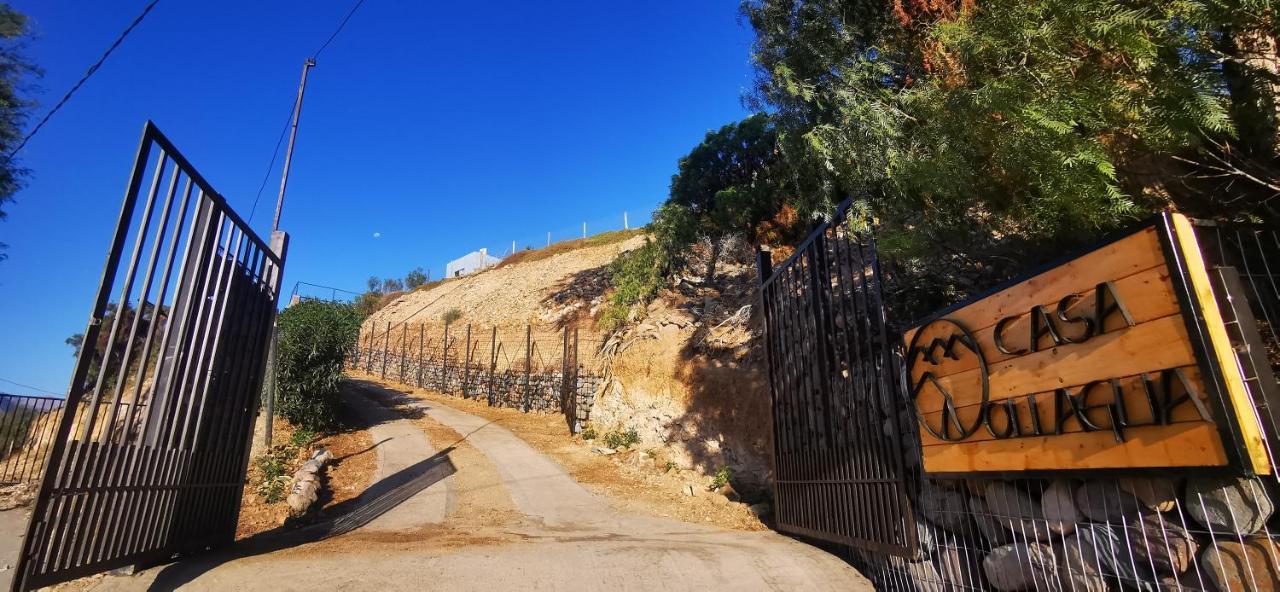 فندق Casa Ollagua Vicuña المظهر الخارجي الصورة
