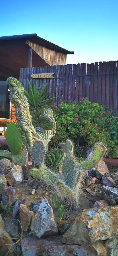 فندق Casa Ollagua Vicuña المظهر الخارجي الصورة
