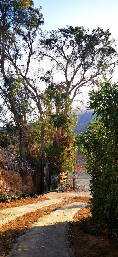 فندق Casa Ollagua Vicuña المظهر الخارجي الصورة