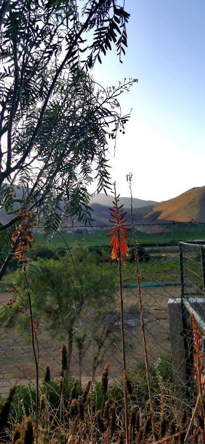 فندق Casa Ollagua Vicuña المظهر الخارجي الصورة